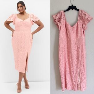 City Chic Plus Size Maisie Lace Midi Dress ballet pink